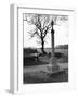 Norlfolk Pilgrim's Cross-null-Framed Photographic Print