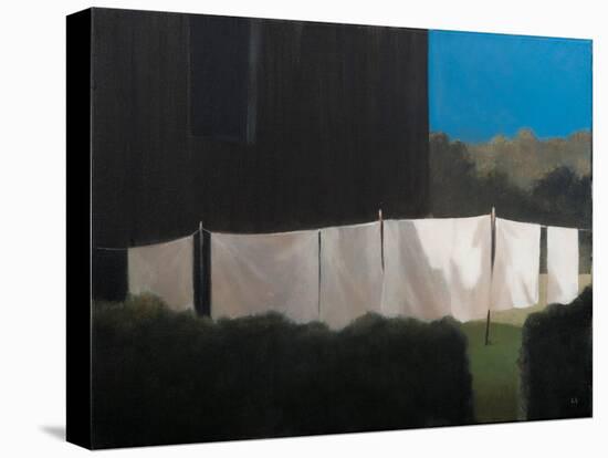 Norma's Washing, 2012-Lincoln Seligman-Stretched Canvas