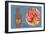 Normal Appendix-Monica Schroeder-Framed Giclee Print