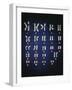 Normal Female Chromosomes-null-Framed Photographic Print