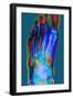 Normal Foot, X-ray-Du Cane Medical-Framed Premium Photographic Print