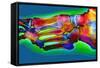 Normal Foot, X-ray-Du Cane Medical-Framed Stretched Canvas