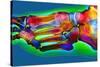 Normal Foot, X-ray-Du Cane Medical-Stretched Canvas