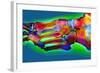 Normal Foot, X-ray-Du Cane Medical-Framed Premium Photographic Print
