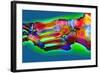 Normal Foot, X-ray-Du Cane Medical-Framed Premium Photographic Print