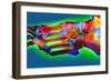 Normal Foot, X-ray-Du Cane Medical-Framed Photographic Print