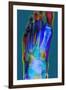 Normal Foot, X-ray-Du Cane Medical-Framed Photographic Print