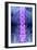 Normal Lumbar Spine, X-ray-Du Cane Medical-Framed Photographic Print