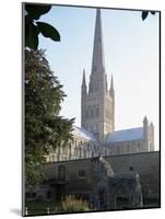 Norman Cathedral, Dating from 11th Century, with 15th Century Spire, Norwich-Nedra Westwater-Mounted Photographic Print