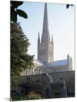 Norman Cathedral, Dating from 11th Century, with 15th Century Spire, Norwich-Nedra Westwater-Mounted Photographic Print