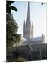 Norman Cathedral, Dating from 11th Century, with 15th Century Spire, Norwich-Nedra Westwater-Mounted Photographic Print