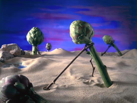 Photographic Print, , large