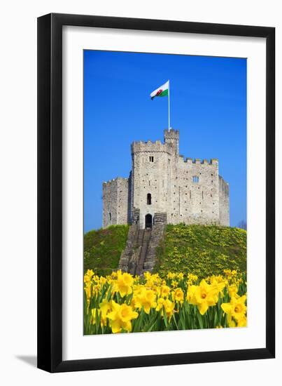 Norman Keep and daffodils, Cardiff Castle, Cardiff, Wales, United Kingdom, Europe-Billy Stock-Framed Photographic Print