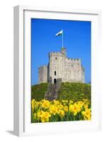 Norman Keep and daffodils, Cardiff Castle, Cardiff, Wales, United Kingdom, Europe-Billy Stock-Framed Photographic Print