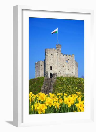 Norman Keep and daffodils, Cardiff Castle, Cardiff, Wales, United Kingdom, Europe-Billy Stock-Framed Photographic Print