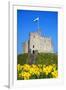 Norman Keep and daffodils, Cardiff Castle, Cardiff, Wales, United Kingdom, Europe-Billy Stock-Framed Photographic Print