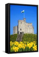 Norman Keep and daffodils, Cardiff Castle, Cardiff, Wales, United Kingdom, Europe-Billy Stock-Framed Stretched Canvas