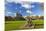 Norman Keep, Cardiff Castle, Cardiff, Wales, United Kingdom, Europe-Billy Stock-Mounted Photographic Print