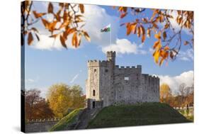 Norman Keep, Cardiff Castle, Cardiff, Wales, United Kingdom, Europe-Billy Stock-Stretched Canvas