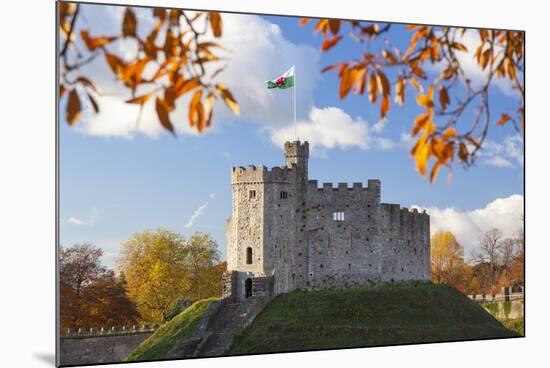 Norman Keep, Cardiff Castle, Cardiff, Wales, United Kingdom, Europe-Billy Stock-Mounted Photographic Print