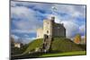 Norman Keep, Cardiff Castle, Cardiff, Wales, United Kingdom, Europe-Billy Stock-Mounted Photographic Print