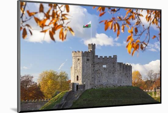 Norman Keep, Cardiff Castle, Cardiff, Wales, United Kingdom, Europe-Billy Stock-Mounted Photographic Print