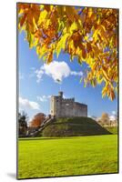 Norman Keep in autumn, Cardiff Castle, Cardiff, Wales, United Kingdom, Europe-Billy Stock-Mounted Photographic Print