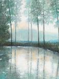 Forest Reflections 2-Norman Wyatt Jr.-Art Print