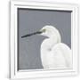 Gramercy White