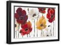 Black Frame