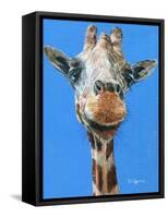 Norman-Melissa Symons-Framed Stretched Canvas