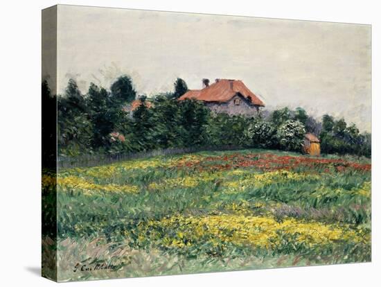 Normandy Countryside-Gustave Caillebotte-Stretched Canvas