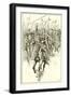 Normans Charging at the Battle of Hastings-Gordon Frederick Browne-Framed Giclee Print