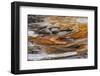 Norris Basin-David Osborn-Framed Photographic Print