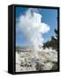 Norris Geysers, Yellowstone National Park, Unesco World Heritage Site, Wyoming, USA-Ethel Davies-Framed Stretched Canvas