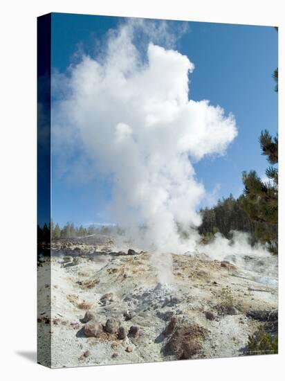 Norris Geysers, Yellowstone National Park, Unesco World Heritage Site, Wyoming, USA-Ethel Davies-Stretched Canvas