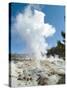 Norris Geysers, Yellowstone National Park, Unesco World Heritage Site, Wyoming, USA-Ethel Davies-Stretched Canvas