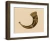 Norse Drinking Horn-null-Framed Art Print