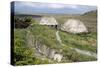 Norse Mill and Kiln, Shawbost, Isle of Lewis, Outer Hebrides, Scotland, 2009-Peter Thompson-Stretched Canvas