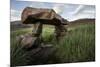 Norse Ruin of Gardar. Igaliku Gardar. Greenland-Tom Norring-Mounted Photographic Print