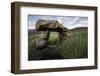 Norse Ruin of Gardar. Igaliku Gardar. Greenland-Tom Norring-Framed Photographic Print