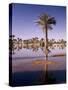 North Africa, Algeria, Sahara, Oasis, Date Palms-Thonig-Stretched Canvas