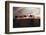 North Africa, Erg Chebbi, Dromedary camel caravan being led through desert by Tuareg man.-Emily Wilson-Framed Photographic Print