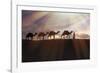 North Africa, Erg Chebbi, Dromedary camel caravan being led through desert by Tuareg man.-Emily Wilson-Framed Photographic Print