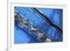 North Africa, Morocco, Chefchaouen District. Staircase Detail-ClickAlps-Framed Photographic Print