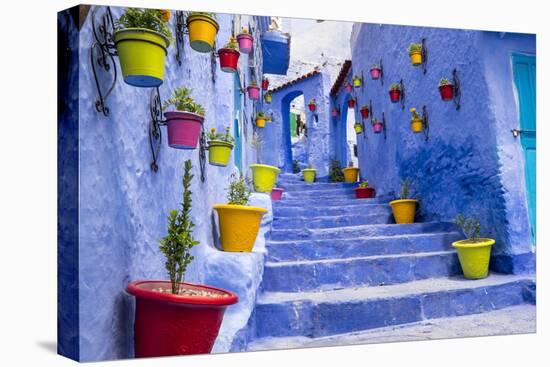 North Africa, Morocco, Traiditoional blue streets of Chefchaouen.-Emily Wilson-Stretched Canvas