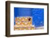 North Africa, Morocco, Traiditoional Moroccan architecture of Chefchaouen.-Emily Wilson-Framed Photographic Print