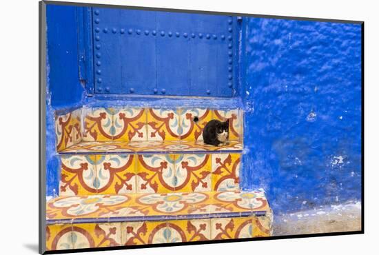 North Africa, Morocco, Traiditoional Moroccan architecture of Chefchaouen.-Emily Wilson-Mounted Photographic Print