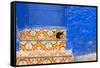 North Africa, Morocco, Traiditoional Moroccan architecture of Chefchaouen.-Emily Wilson-Framed Stretched Canvas