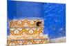North Africa, Morocco, Traiditoional Moroccan architecture of Chefchaouen.-Emily Wilson-Mounted Photographic Print